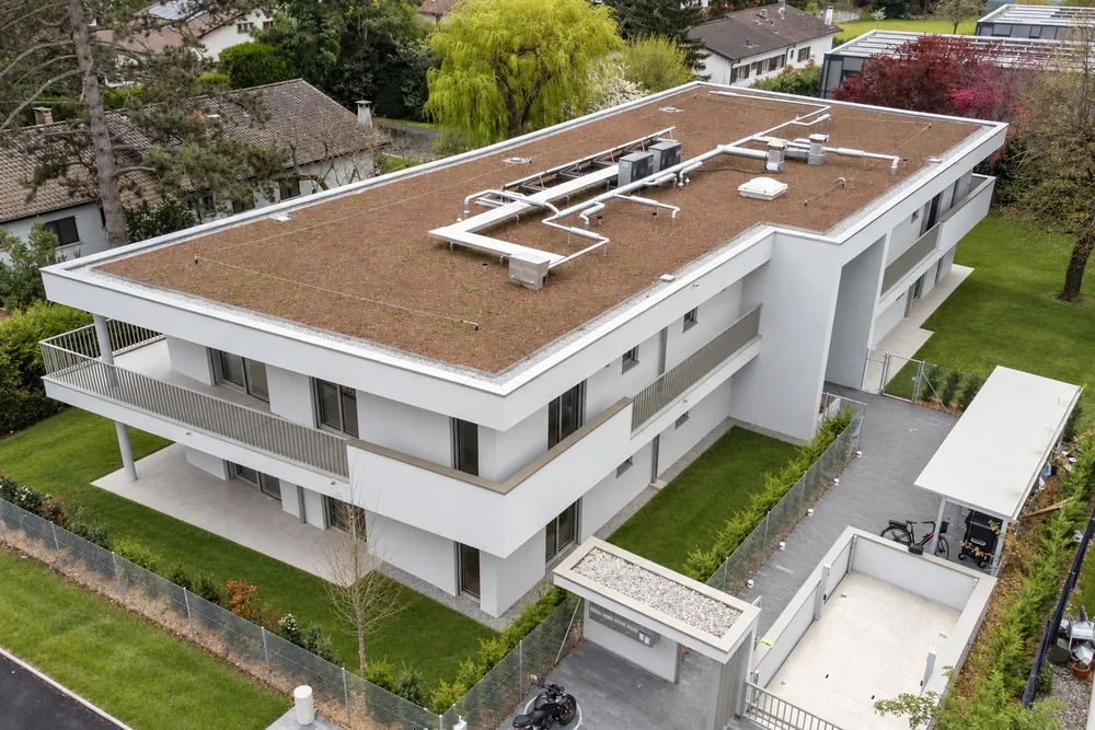Castan N°5, Chêne-Bougeries — view 3 of 9